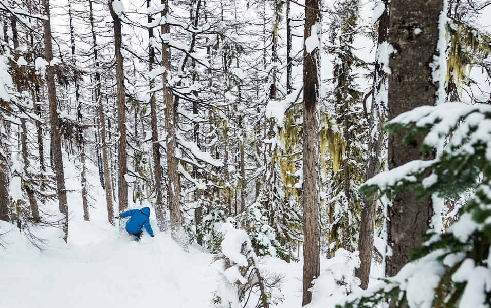 Tricia Brynes snowboarding through trees.