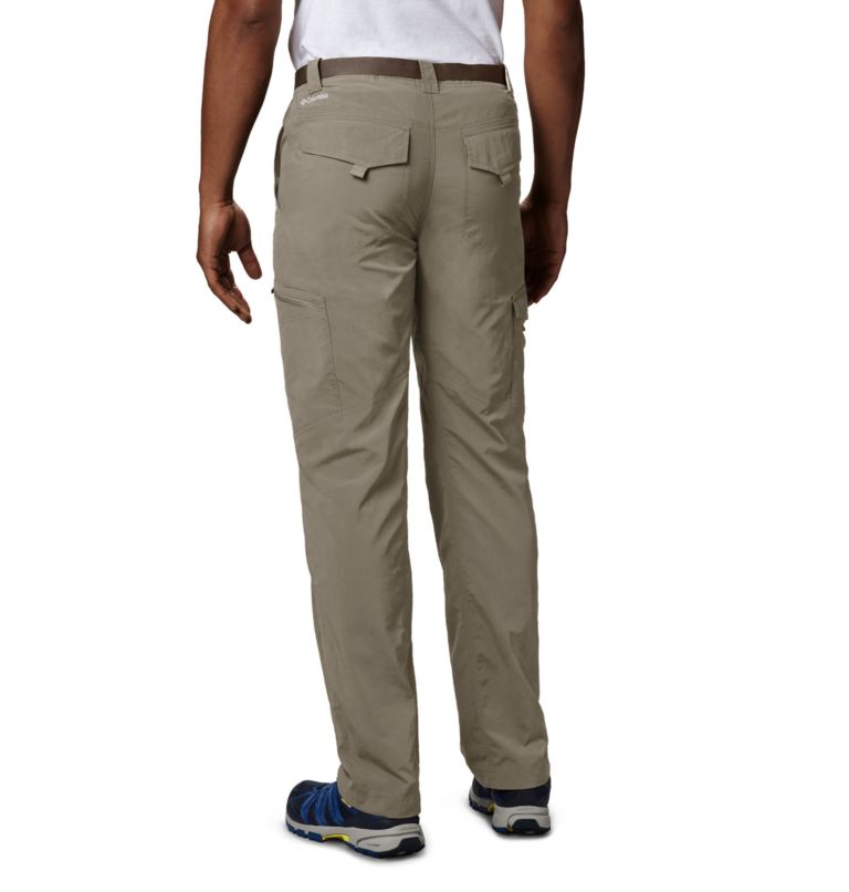 Men's silver store ridge cargo pant