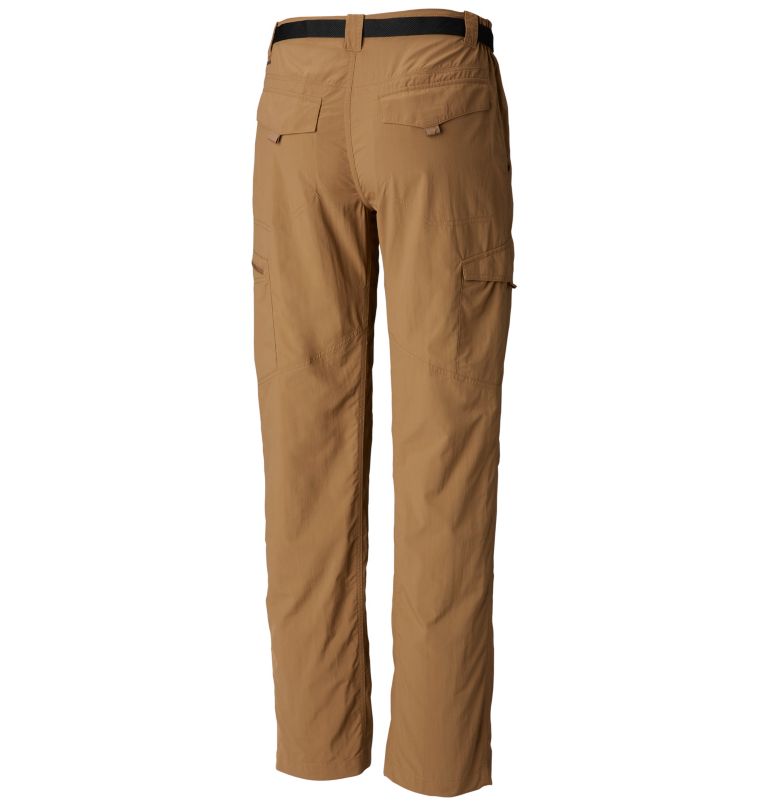 Men's Silver Ridge Cargo Pants, Color: Delta, image 2