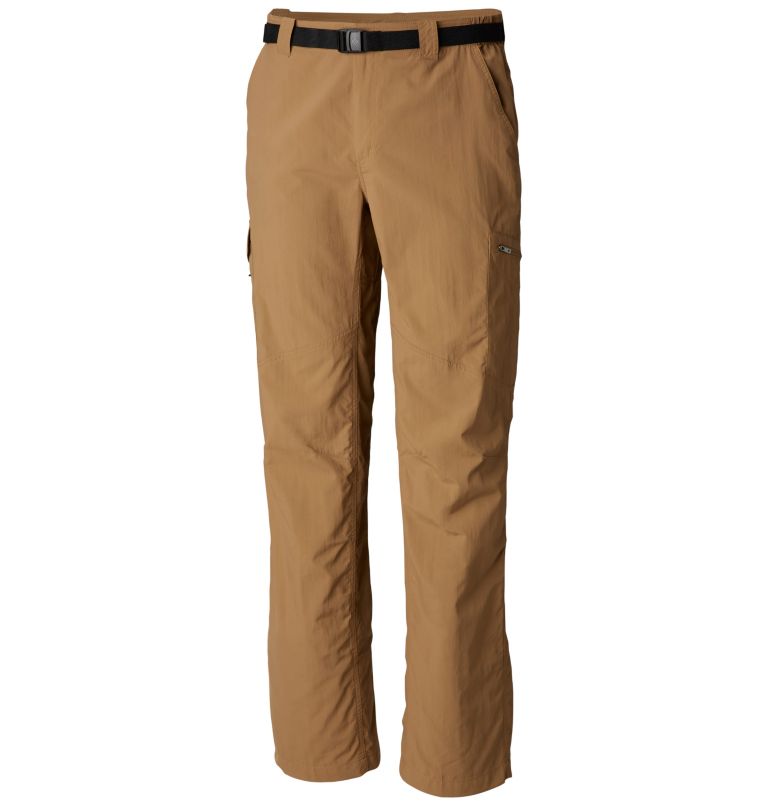 Men's Silver Ridge Cargo Pants, Color: Delta, image 1
