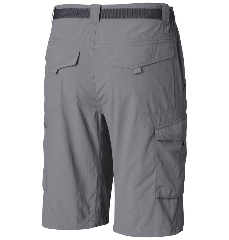 Men's Silver Ridge Cargo Shorts, Color: Cool Grey, image 2