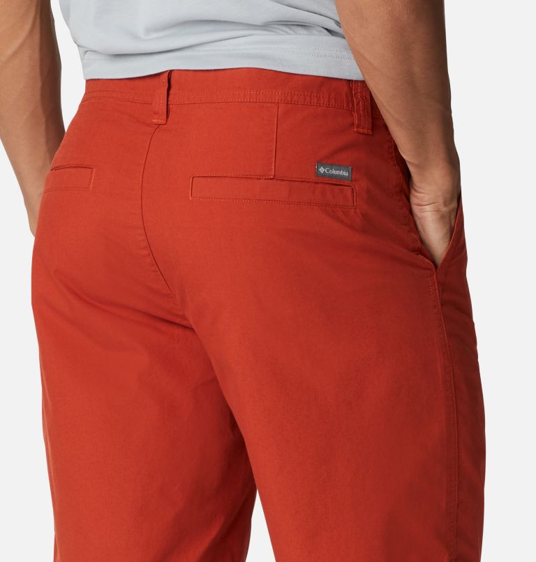 Washed Out Short, Color: Dark Sienna, image 5