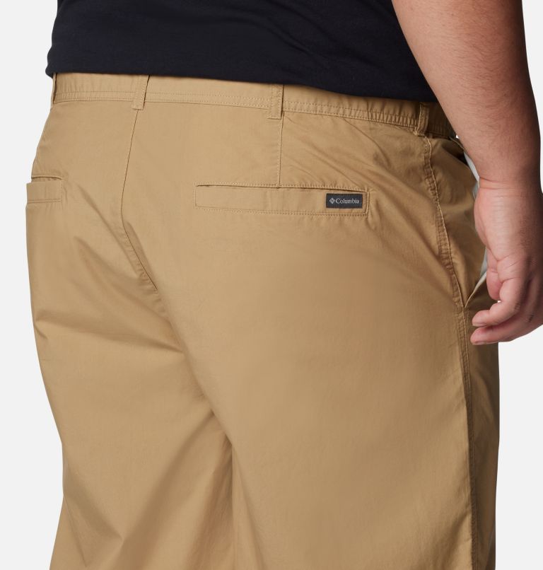 Men's Washed Out Shorts - Big, Color: Crouton, image 5