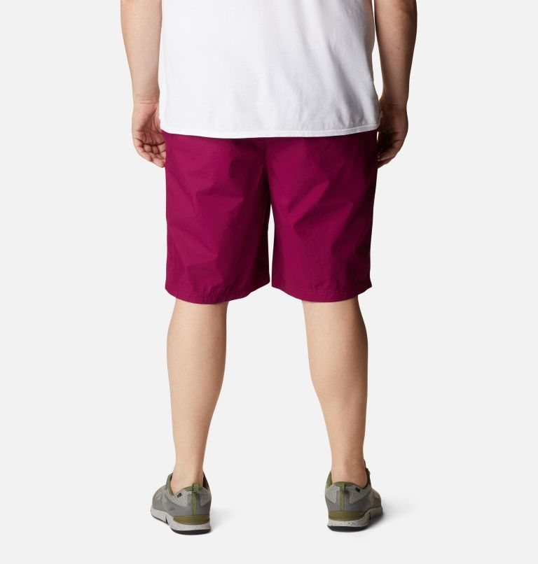 Men's Washed Out Shorts - Big, Color: Red Onion, image 2