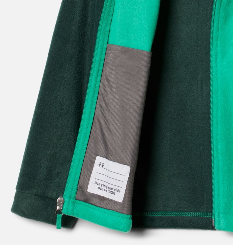 Boys' Steens Mountain II Fleece Jacket, Color: Dark Lime, Spruce, image 3