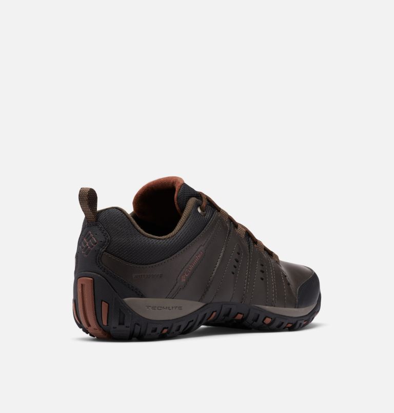Men's Woodburn II Waterproof Shoe, Color: Cordovan, Cinnamon, image 9