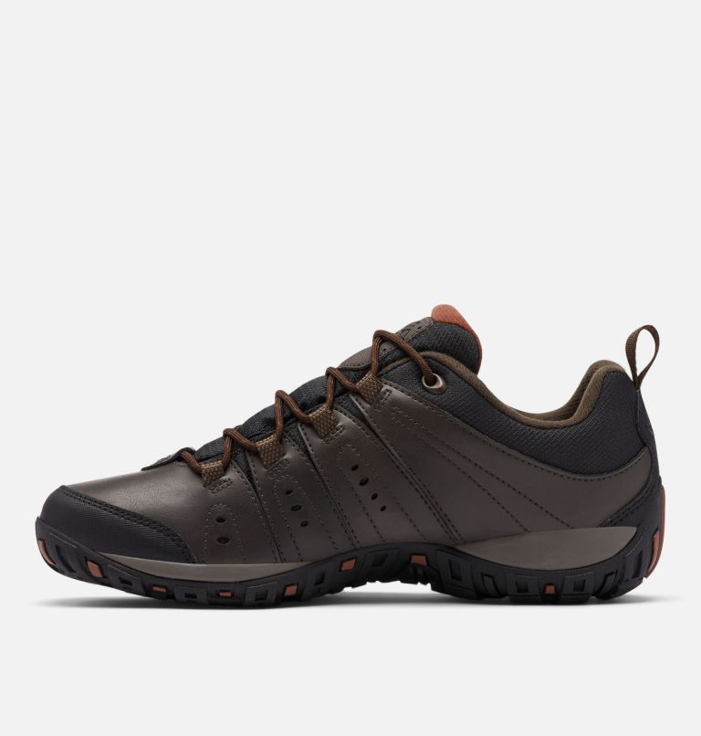 Men's Woodburn II Waterproof Shoe, Color: Cordovan, Cinnamon, image 5