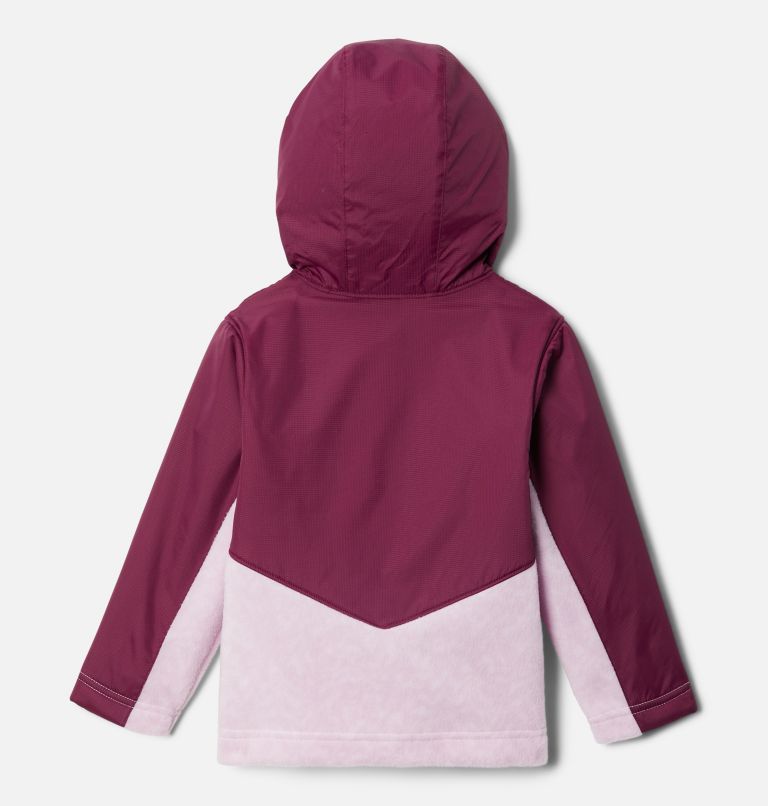 Kids' Toddler Steens Mountain Overlay Hooded Jacket, Color: Aura Terrain, Marionberry, image 2