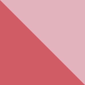 Rouge Pink, Pink Orchid