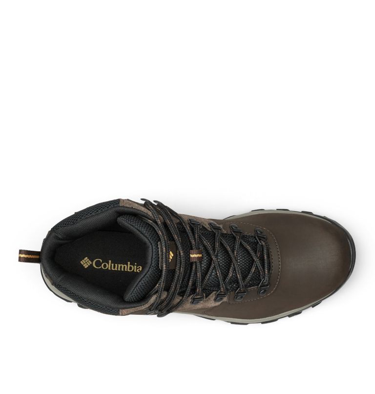 Thumbnail: Chaussures de randonnée imperméables Newton Ridge Plus II pour homme., Color: Cordovan, Squash, image 3