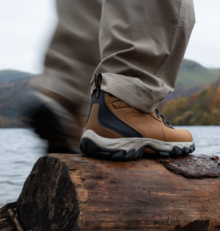 Men's columbia newton ridge plus ii waterproof hotsell hiking boots