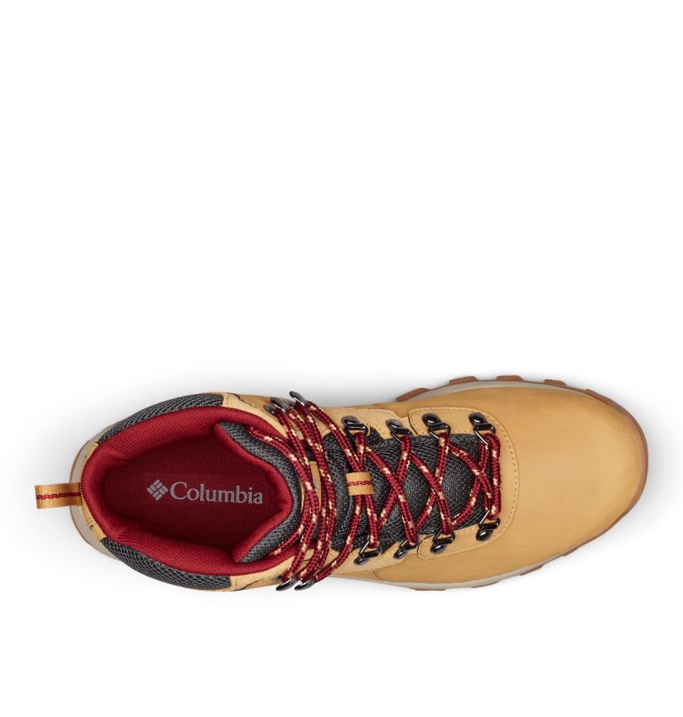 NEWTON RIDGE PLUS II WATERPROOF | 373 | 12, Color: Curry, Red Jasper, image 3