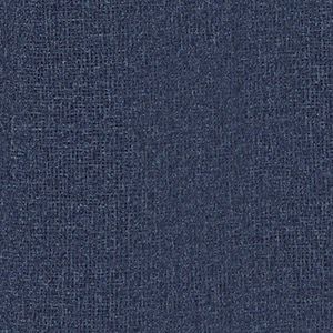 Collegiate Navy