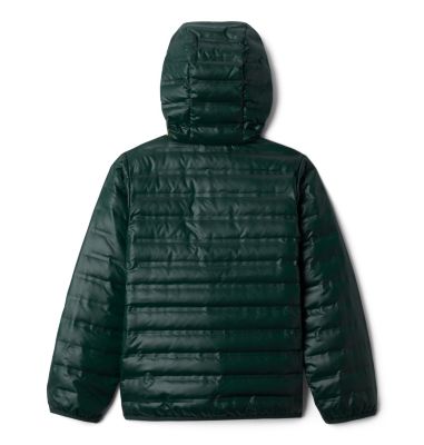 Manteau en duvet &agrave; capuchon Flash Forward&trade; pour enfant Flash Forward&trade; Hooded Down Jacket | 039 | L, Spruce, back