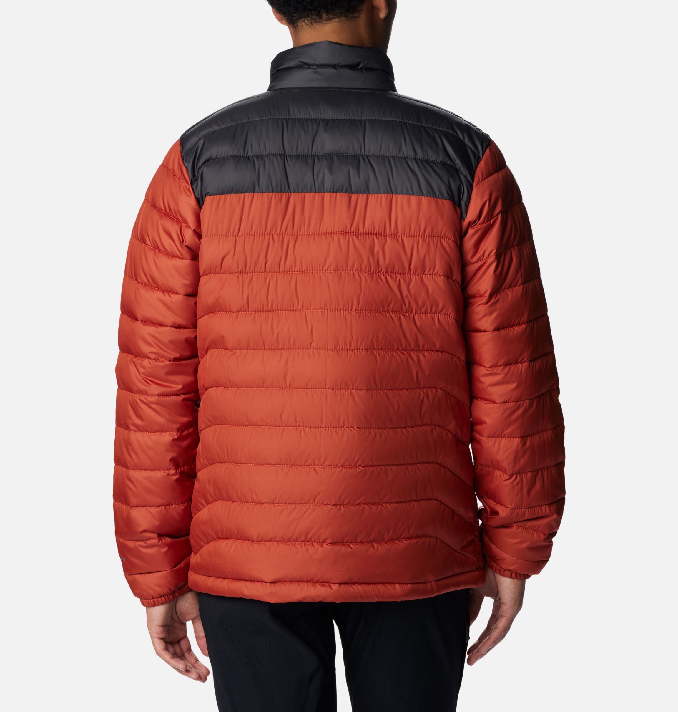 Ropa de abrigo Columbia POWDER LITE™ - Anorak hombre red element - Private  Sport Shop