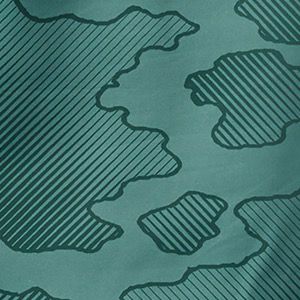 Thyme Green Camo Gradient, Rain Forest