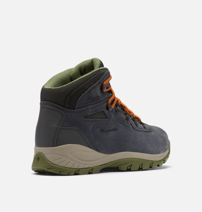 NEWTON RIDGE PLUS WATERPROOF AMPED | 012 | 11, Color: Shark, Hiker Green, image 9