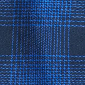 Collegiate Navy Check