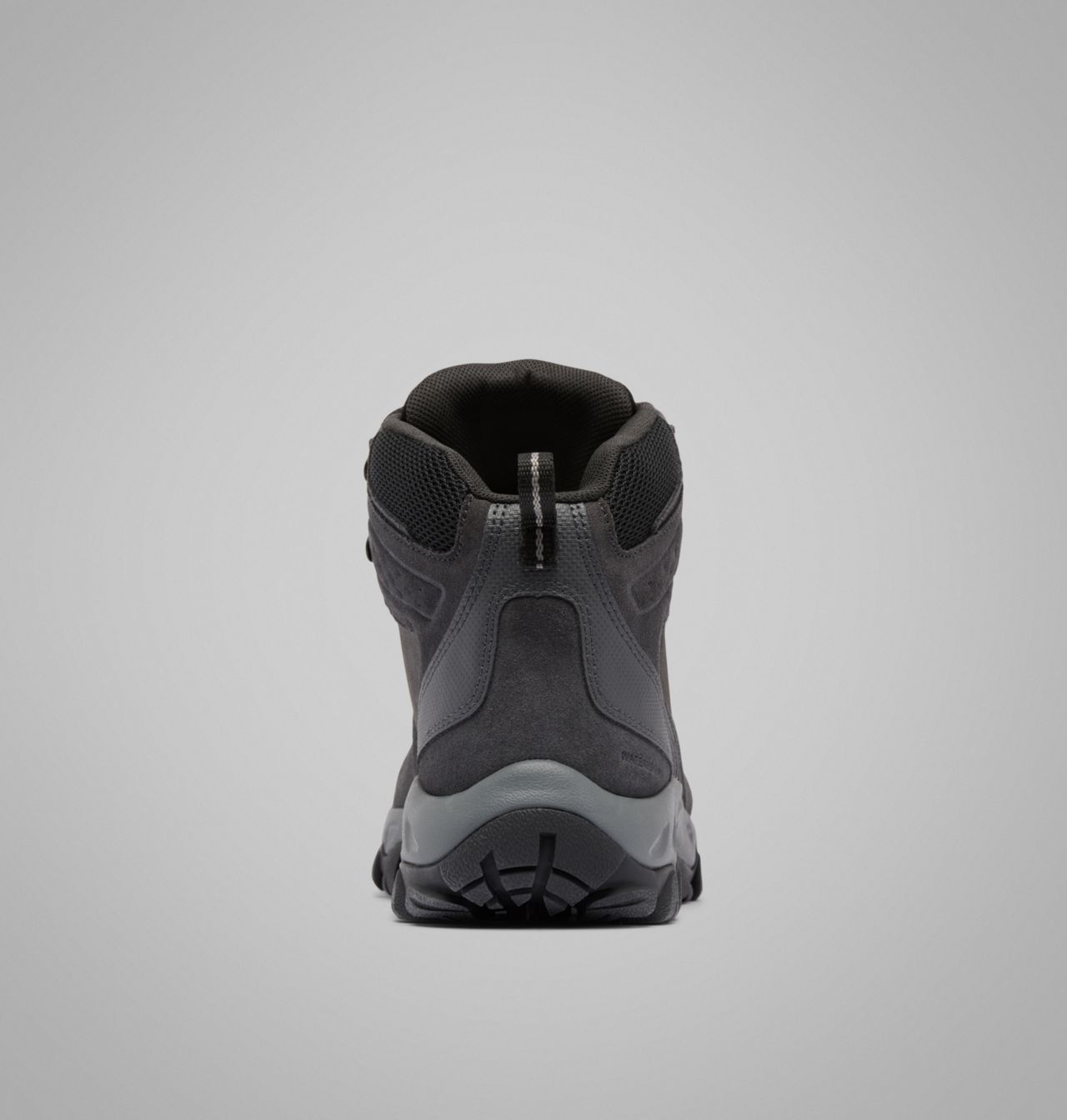 Men's Newton Ridge™ Plus II Suede Waterproof Hiking Boot | 014 | 12 2
