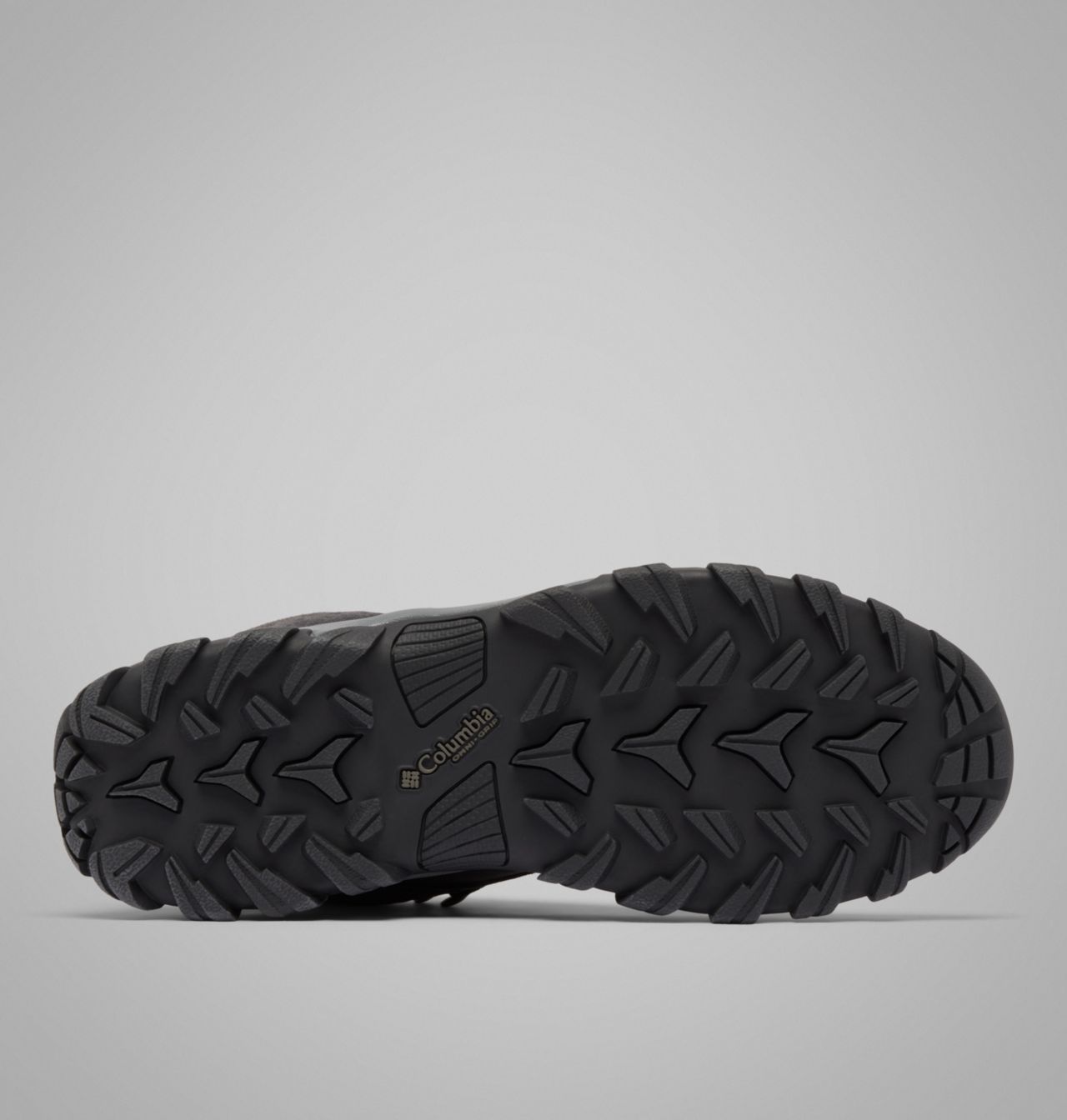 Men's Newton Ridge™ Plus II Suede Waterproof Hiking Boot | 014 | 12 5