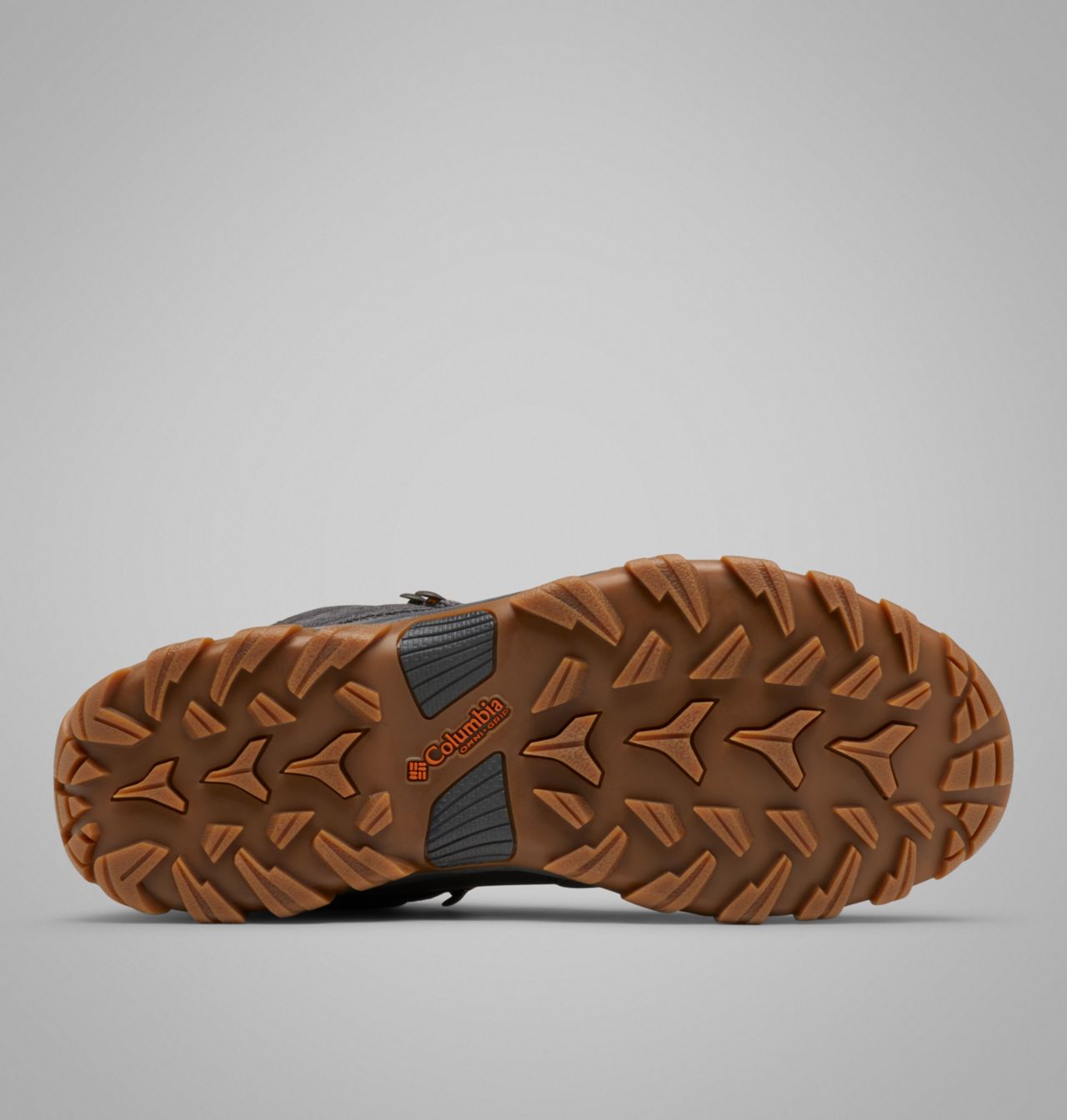 Men's Newton Ridge™ Plus II Suede Waterproof Hiking Boot | 091 | 8.5 5