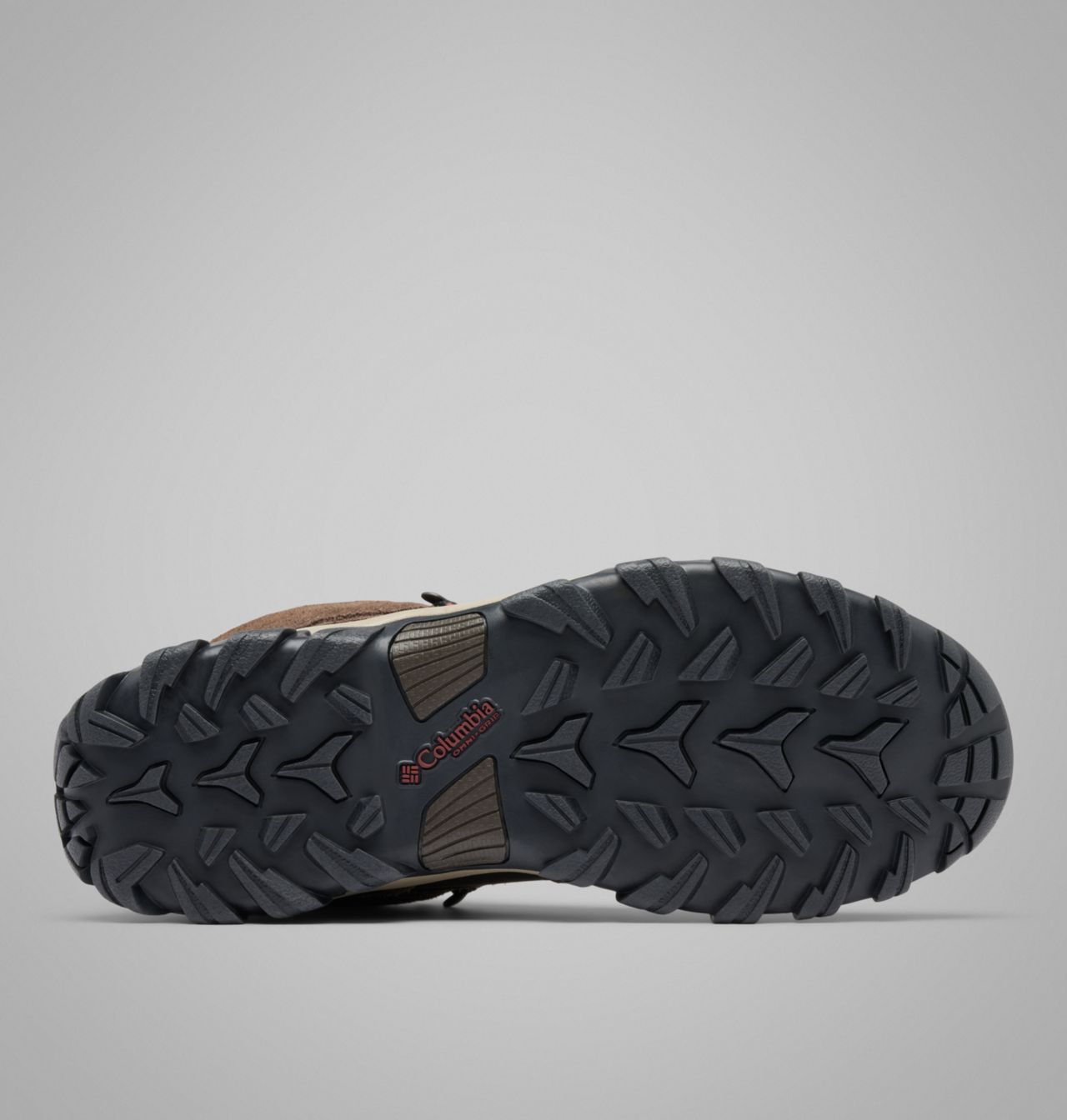 Men's Newton Ridge™ Plus II Suede Waterproof Hiking Boot | 233 | 14 5