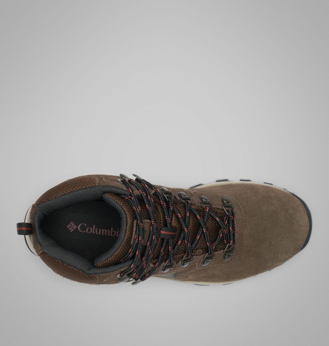 Men's Newton Ridge™ Plus II Suede Waterproof Hiking Boot | 233 | 14 4