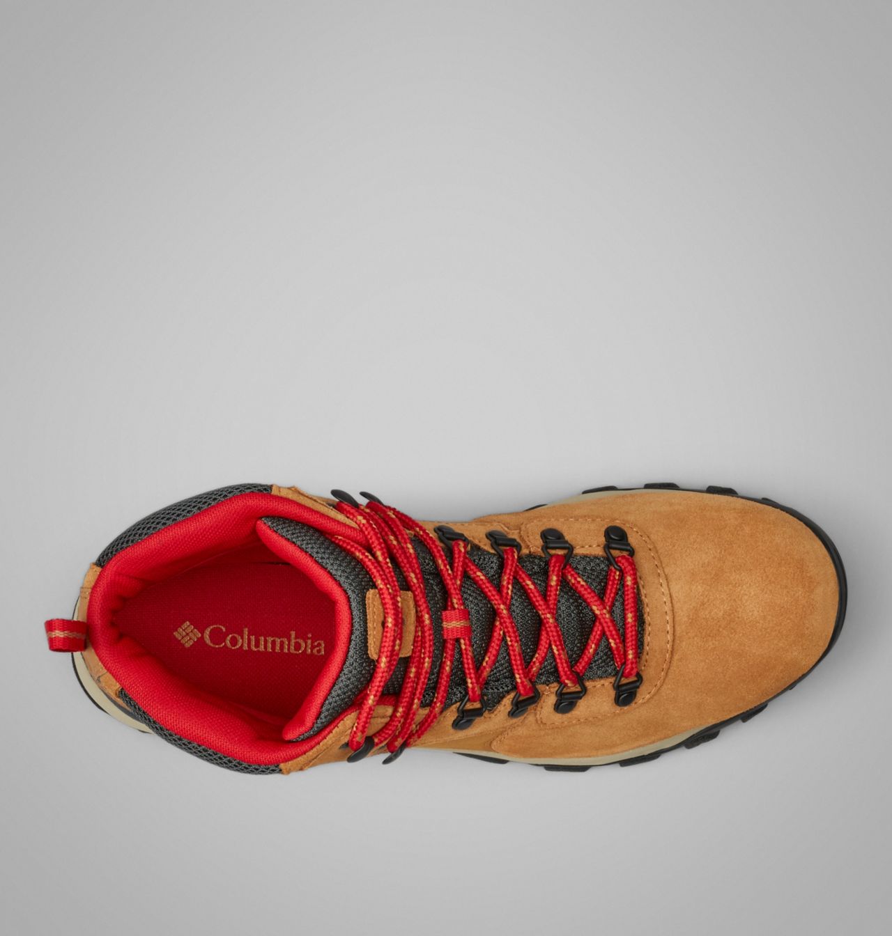 Men's Newton Ridge™ Plus II Suede Waterproof Hiking Boot 3