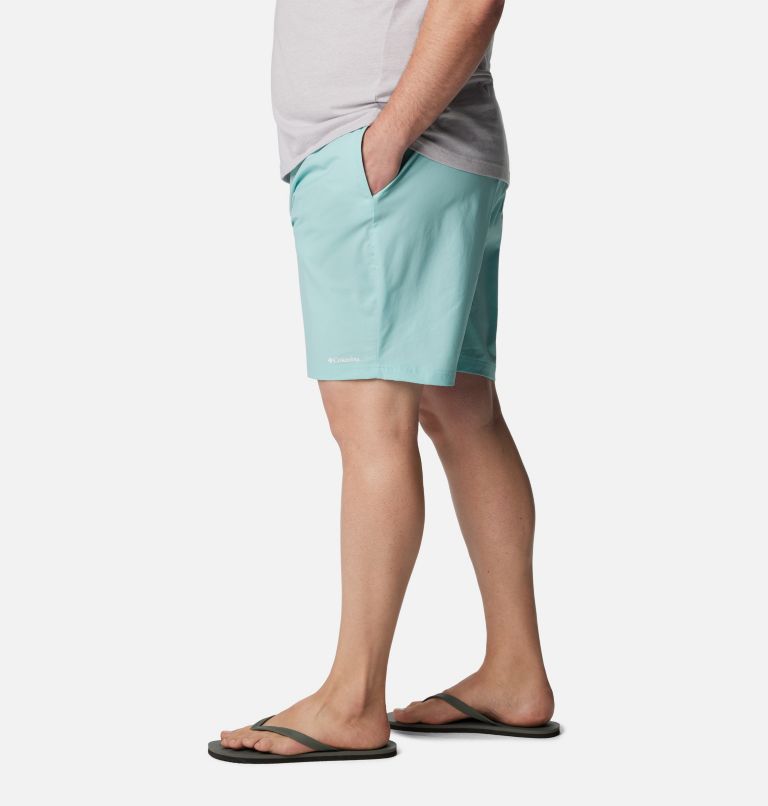 Men's Summertide Stretch Shorts - Big, Color: Spray, image 3