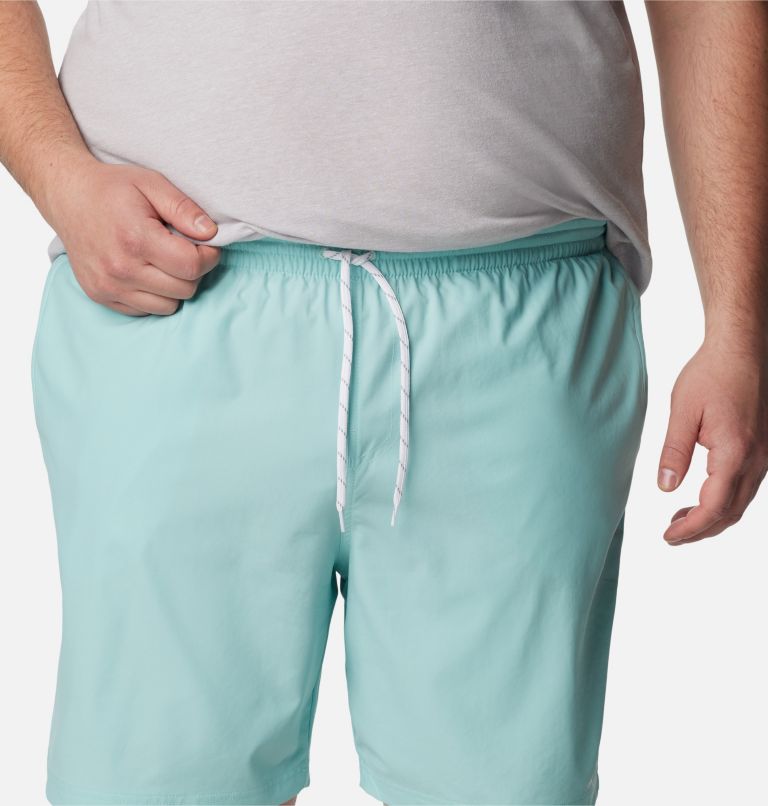 Men's Summertide Stretch Shorts - Big, Color: Spray, image 4