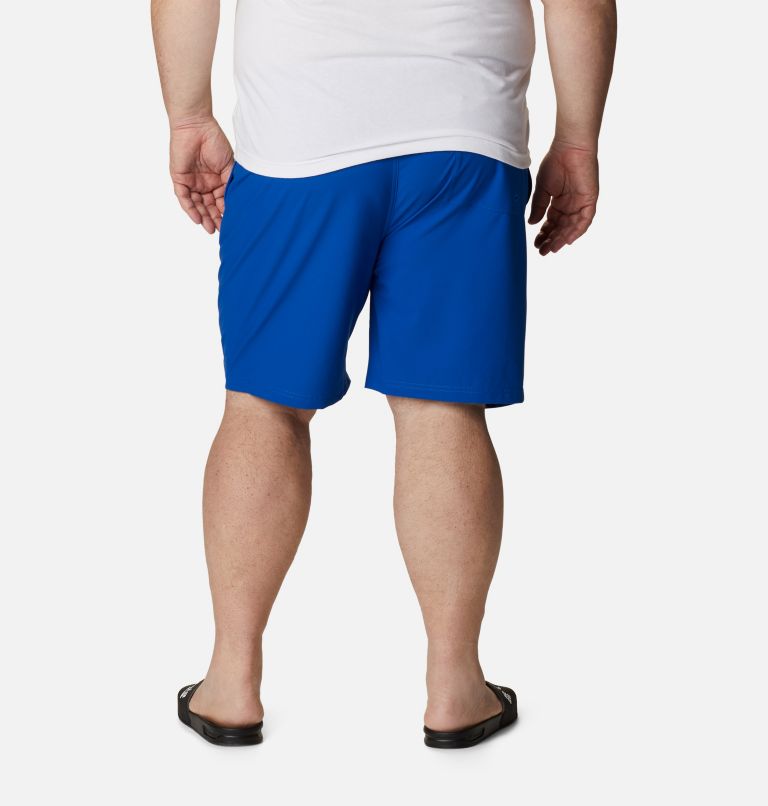 Men's Summertide Stretch Shorts - Big, Color: Azul, image 2