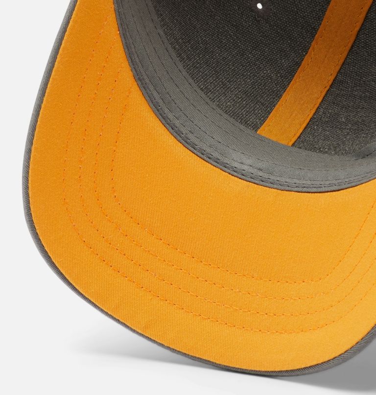 Columbia Youth Snap Back, Color: Titanium Undercover Bearly Shades, image 3