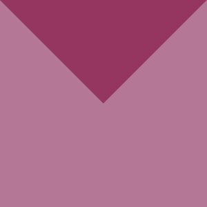 Wine Berry