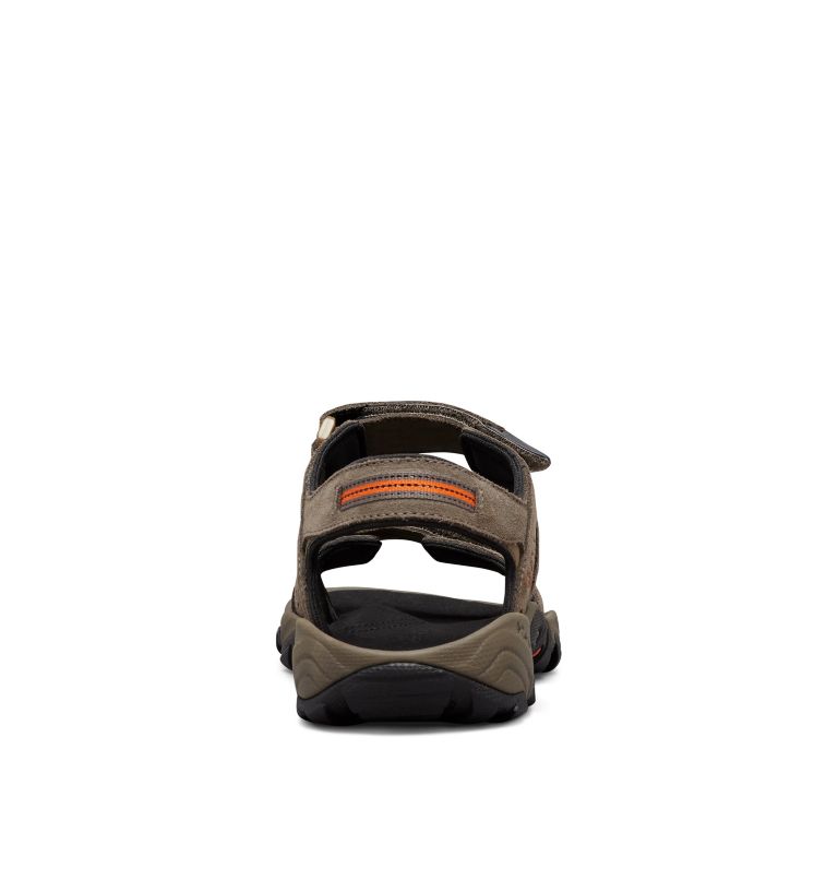 Santiam 2 online strap