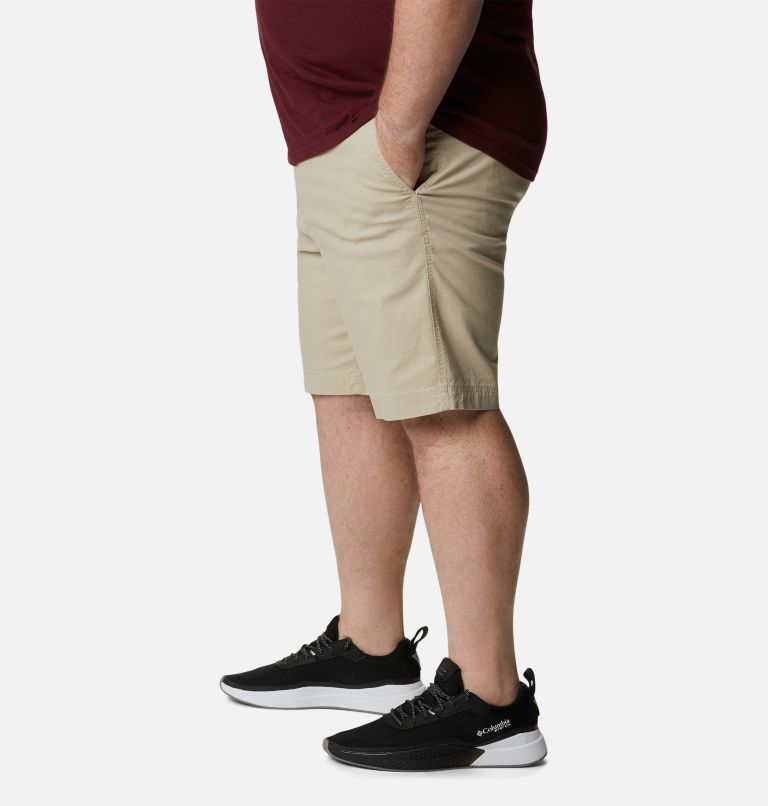Men's Flex ROC Shorts - Big, Color: Fossil, image 3