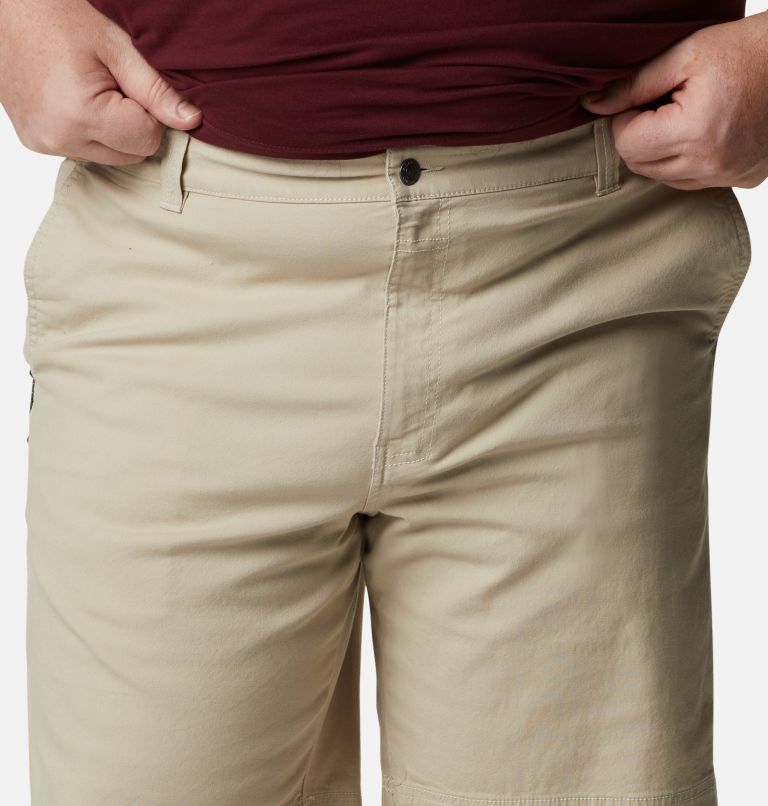 Men's Flex ROC Shorts - Big, Color: Fossil, image 4