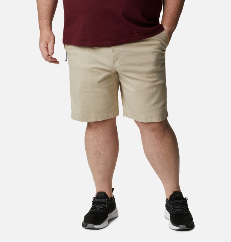Men's Flex ROC Shorts - Big, Color: Fossil, image 1