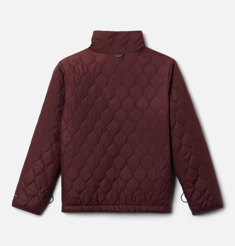 Whirlibird II Interchange Jacket | 618 | XXS, Color: Mineral Pink Crackle Print, Mineral Pink, image 5