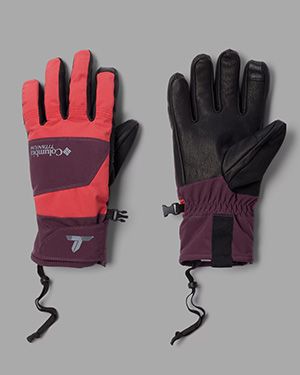 A pair of gloves