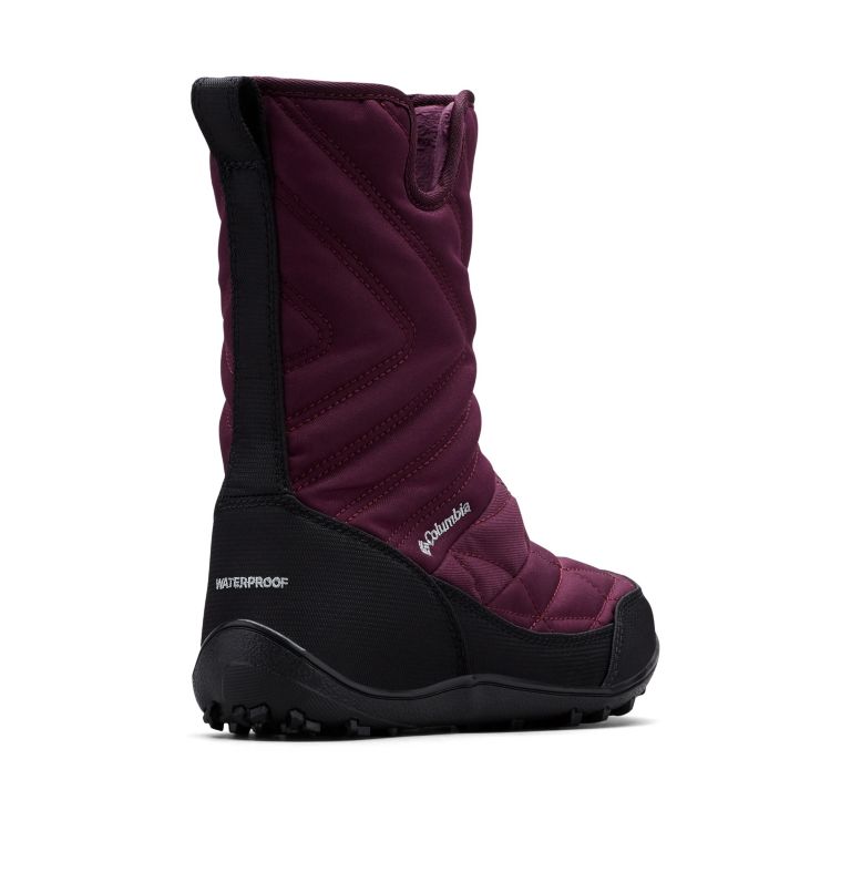 MINX SLIP III, Color: Black Cherry, Columbia Grey, image 9