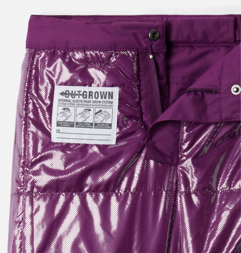 Kids' Bugaboo II Insulated Ski Pants, Color: Plum, image 4