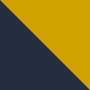 UM - Coll Navy, Coll Yellow