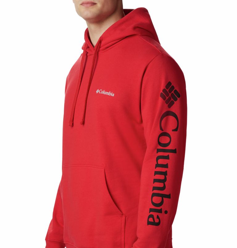 Columbia men's viewmont online ii sleeve graphic hoodie