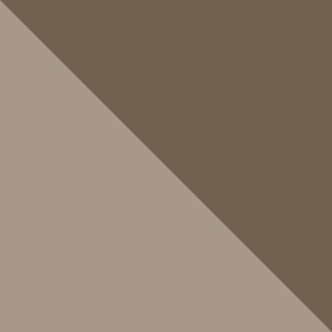 Ancient Fossil, Wet Sand