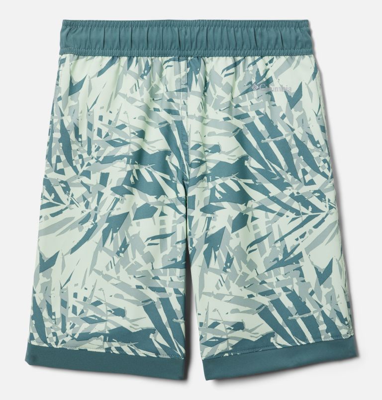 Thumbnail: Boys' Sandy Shores Board Shorts, Color: Metal Dye Palms Tonal, Metal, image 2