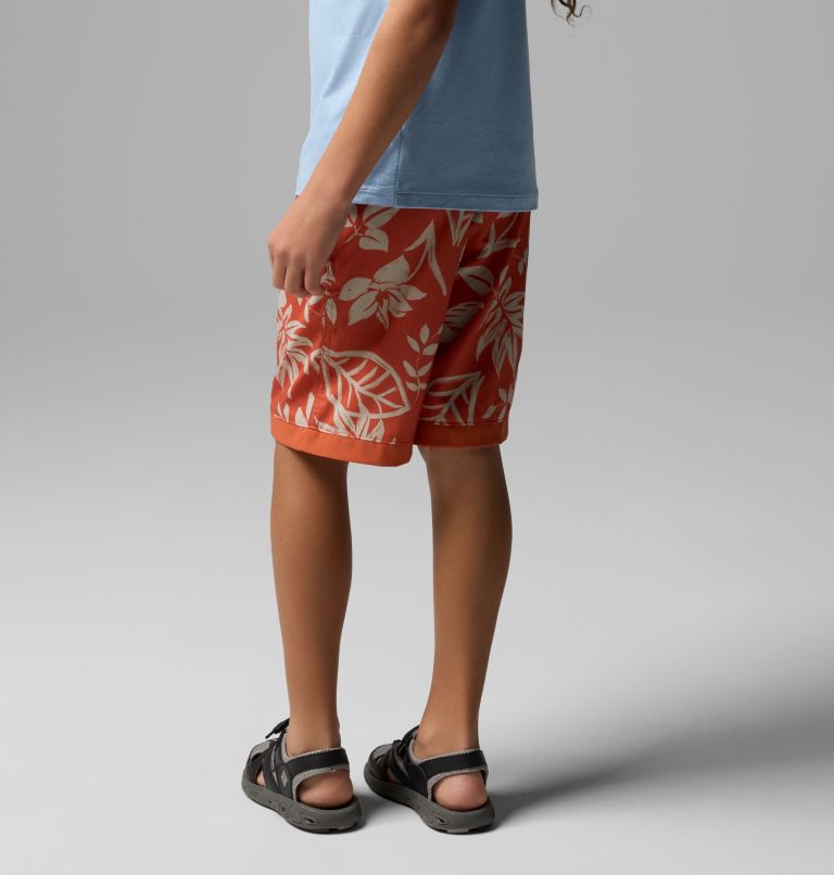 Boys' Sandy Shores Board Shorts, Color: Tuscan Pasteled Tonal, image 2