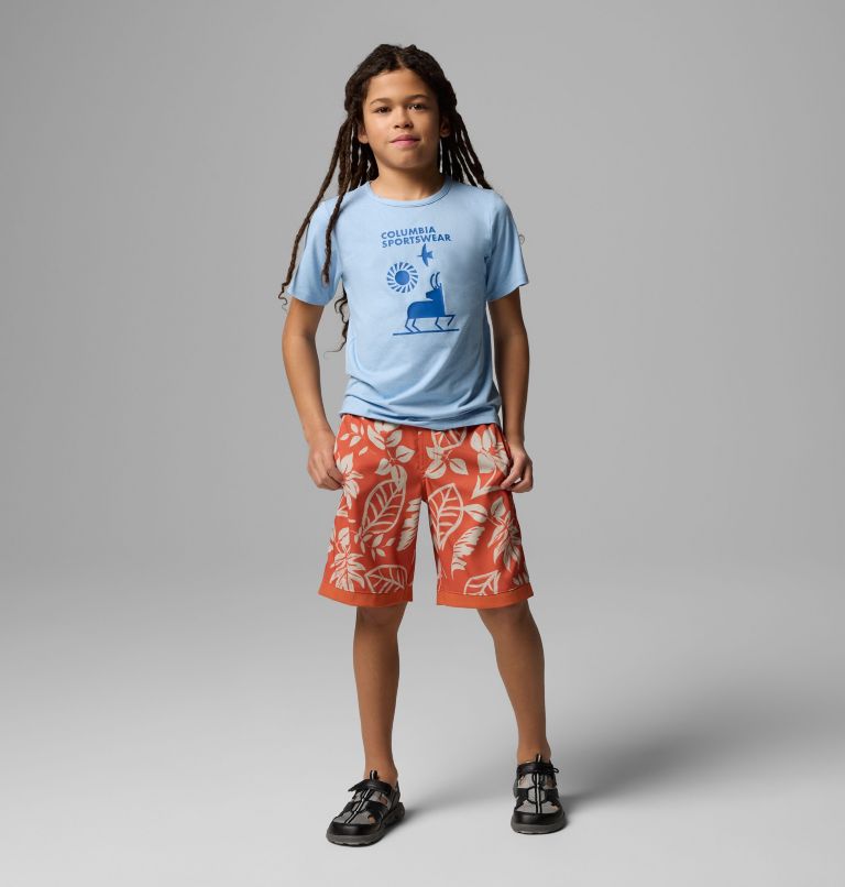 Boys' Sandy Shores Board Shorts, Color: Tuscan Pasteled Tonal, image 1