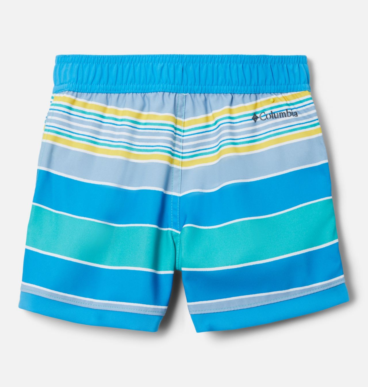 Boys' Toddler Sandy Shores™ Board Shorts 2
