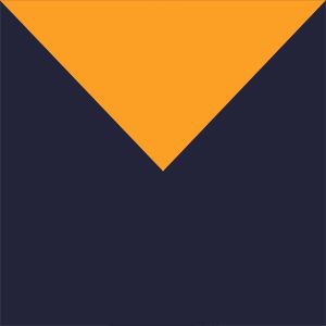 Collegiate Navy, Stinger