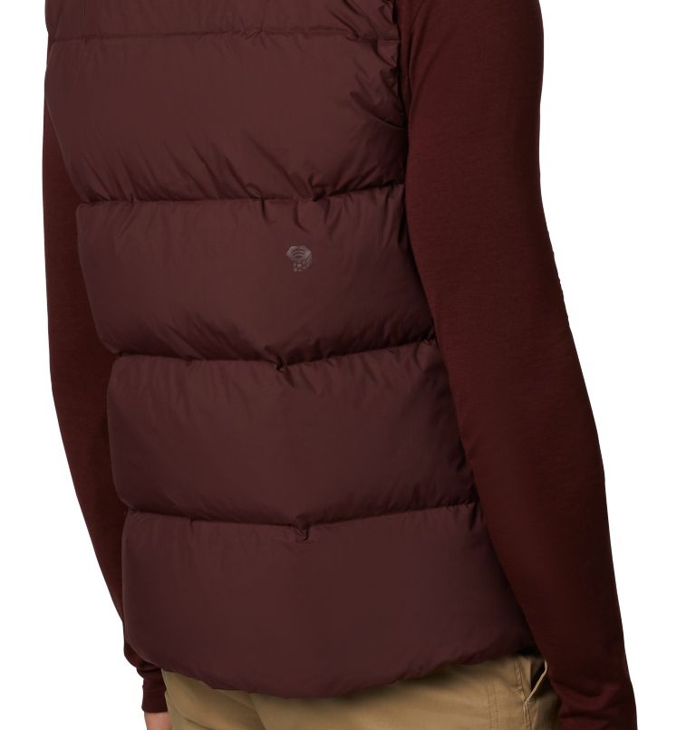 Men's Glacial Storm Vest, Color: Dark Umber, image 4